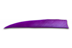 Feder violett (einfarbig)