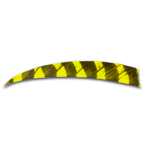 Feder charteuse (Barred)