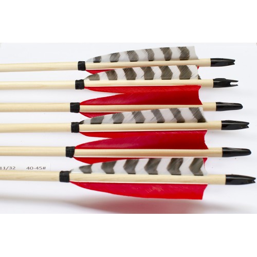 6 Handgemachte Holzpfeile (11/32 40-45# 1x barr. weiss/2x rot) 6 Handgemachte Holzpfeile (11/32 40-45# 1x barr. weiss/2x rot)