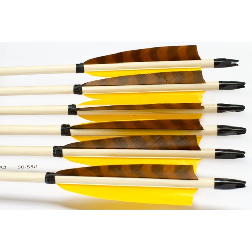 6 Handgemachte Holzpfeile (11/32 50-55# 1x barr. braun/2x gelb)