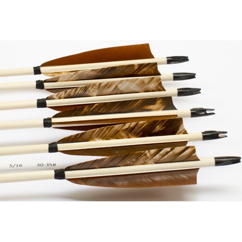 6 Handgemachte Holzpfeile (5/16 30-35# 1x Trec. braun/2x hellbraun)