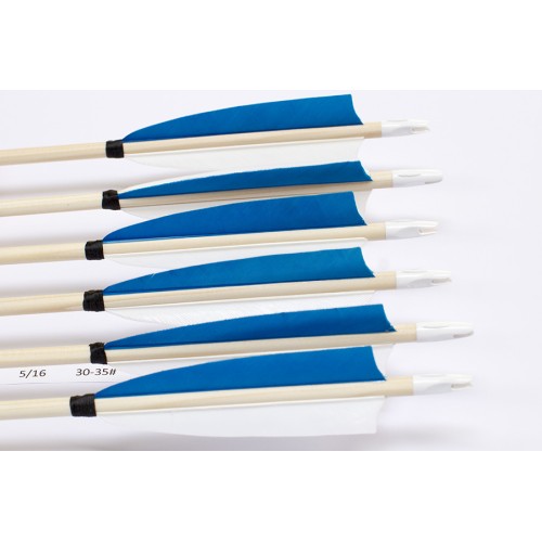 6 Handgemachte Holzpfeile (5/16 30-35# 1x blau/2x weiss)