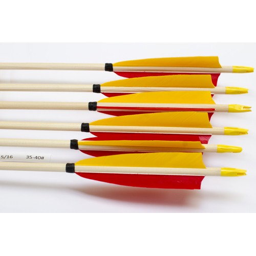 6 Handgemachte Holzpfeile (5/16 35-40# 1x gelb/2x rot)