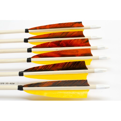 6 Handgemachte Holzpfeile (5/16 35-40# 1x Trec. orange/2x gelb)