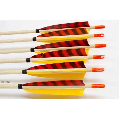 6 Handgemachte Holzpfeile (5/16 35-40# 1x barr. orange/ 2x gelb)