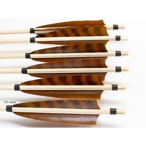 6 Handgemachte Holzpfeile (5/16 35-40# 1x barr. braun/2x hellbraun)