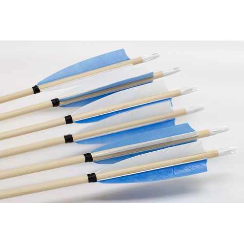 6 Handgemachte Holzpfeile (5/16 40-45# 1x weiss/2x hellblau )