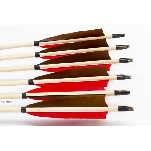 6 Handgemachte Holzpfeile (5/16 40-45# 1x bronze braun/2x rot)