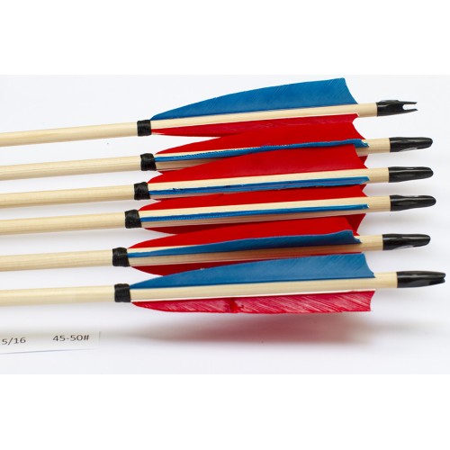 6 Handgemachte Holzpfeile (5/16 45-50# 1x blau/2x rot)