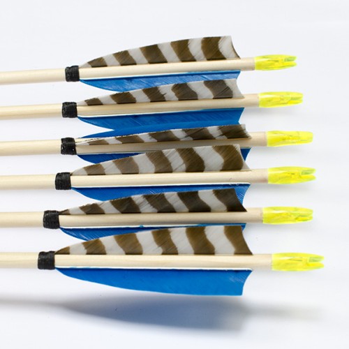 6 Handgemachte Kinderpfeile (5/16 20-25#)