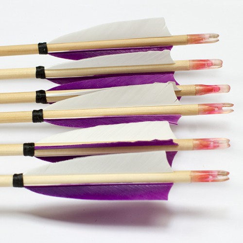 6 Handgemachte Kinderpfeile (5/16 20-25#)