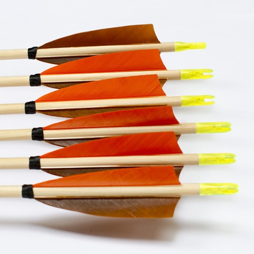 6 Handgemachte Kinderpfeile (5/16 20-25#)