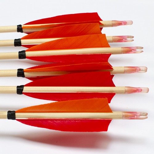 6 Handgemachte Kinderpfeile (5/16 20-25#)